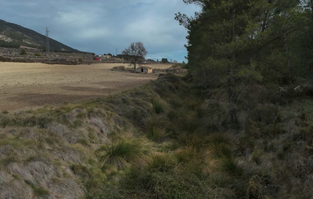 Excursió informativa i reivindicativa a la rambla Gavarnera (diumenge 3/maig)